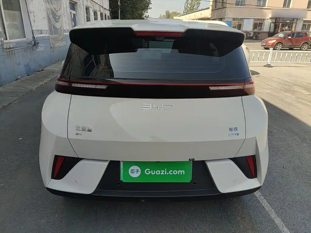 Seagull 2025 smart driving version 305km free version купить на сайте DeffCars