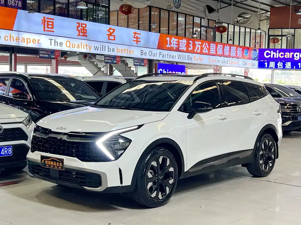 Lion Platinum Extends the World 2023 2.0T Two-wheel Drive Premium Edition купить на сайте DeffCars