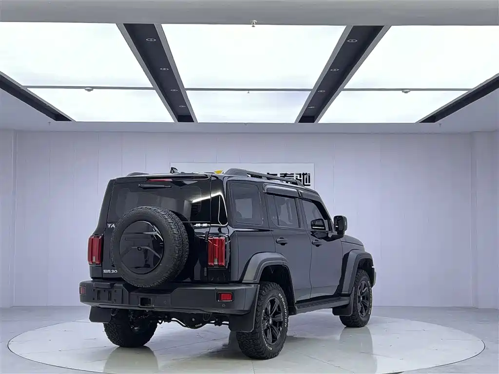 Tank 300 2021 Off-Road Version 2.0T Conqueror купить на сайте DeffCars