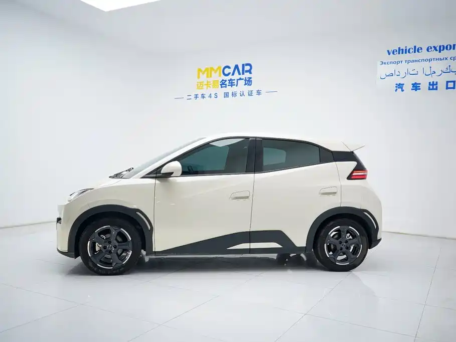 Seagull 2023 Flying Edition купить на сайте DeffCars