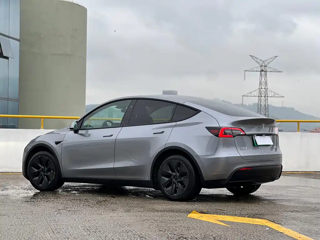 Model Y 2024 rear-wheel drive version купить на сайте DeffCars