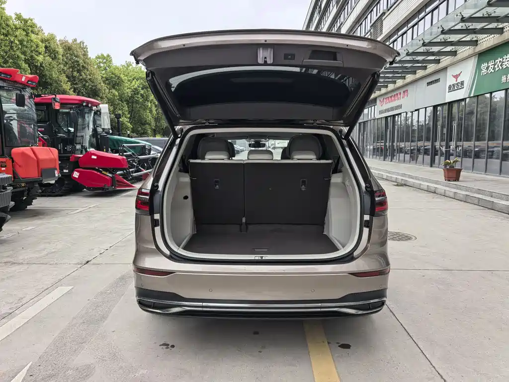 Weiran 2020 380TSI Premium Edition купить на сайте DeffCars