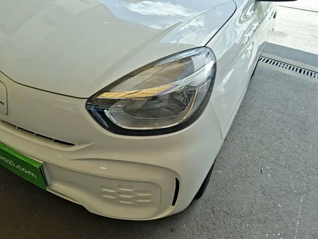 Clever 2022 311km Yuan Qi Edition купить на сайте DeffCars