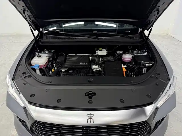 Song Pro New Energy 2024 Honor Edition DM-i 71KM Pilot Model купить на сайте DeffCars