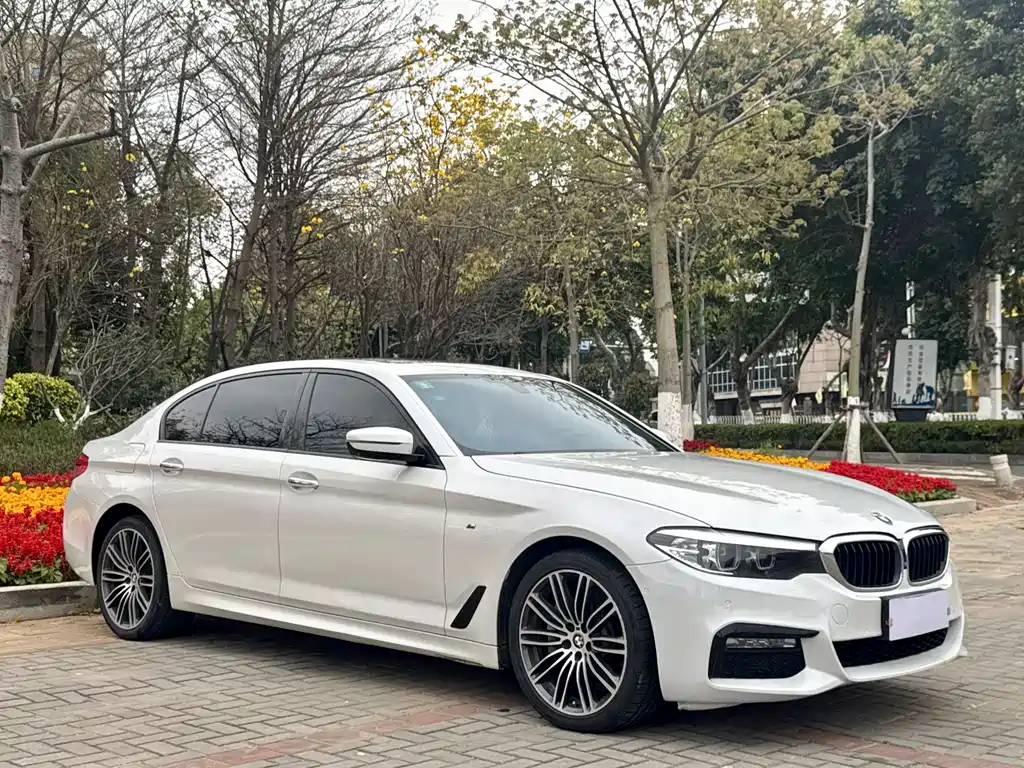 BMW 5 Series 2018 530Li Leading M Sports Package купить на сайте DeffCars