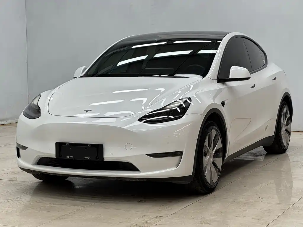 Model Y 2021 standard range rear-wheel drive version купить на сайте DeffCars