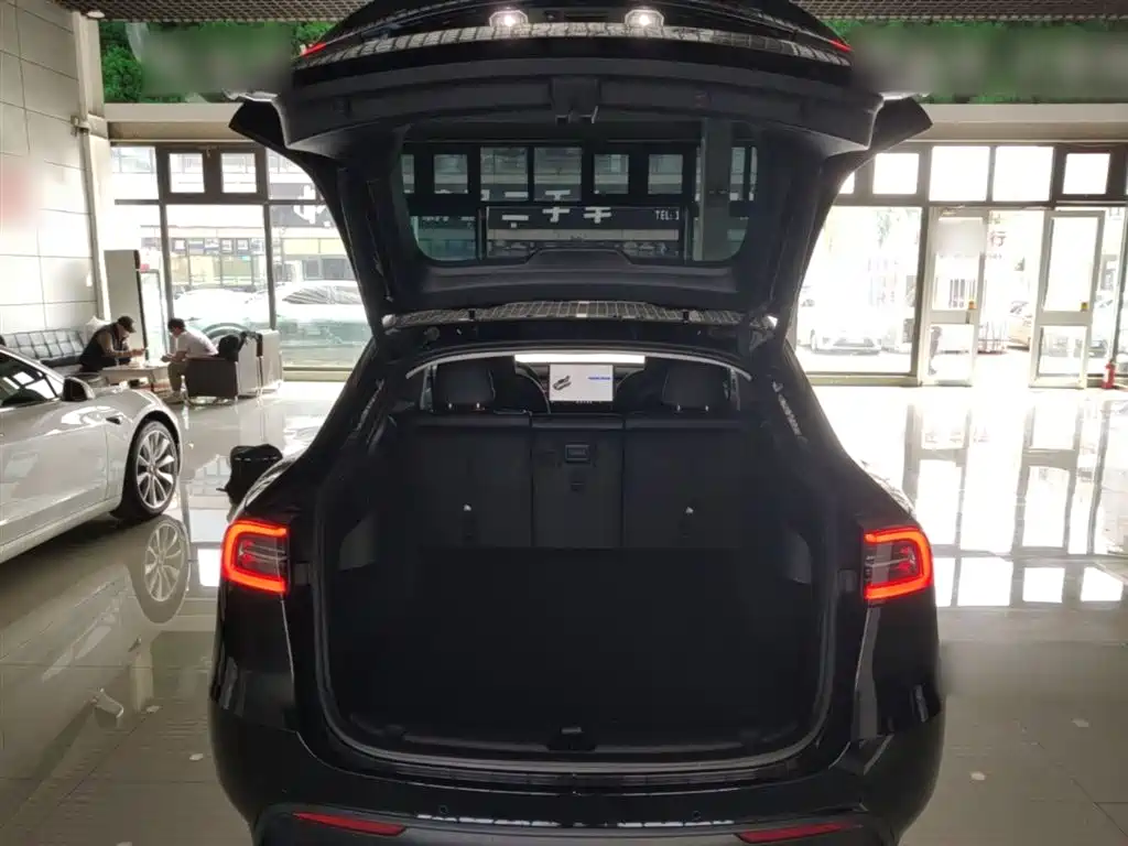 Model Y 2023 long-range all-wheel drive version купить на сайте DeffCars