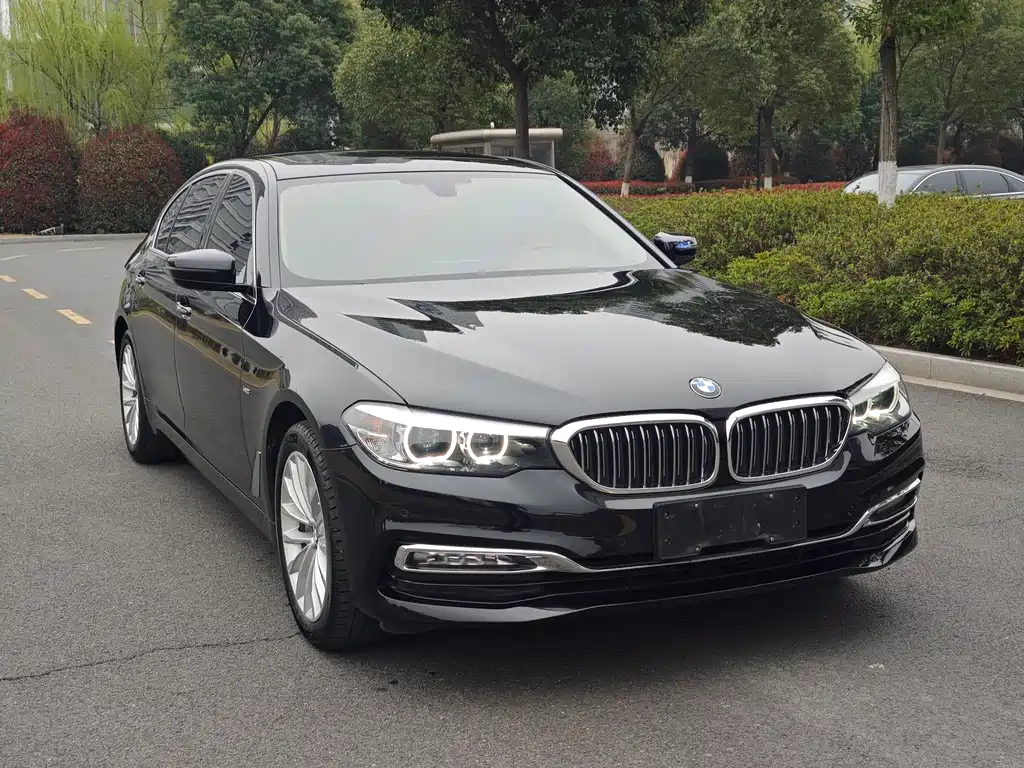 BMW 5 Series 2018 facelift 530Li leading model luxury package купить на сайте DeffCars