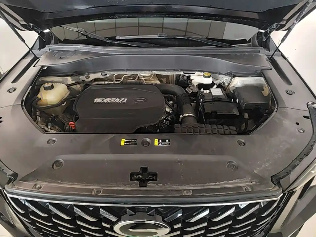 Trumpchi GS8 2022 Pilot Series 2.0TGDI 2WD Luxury Connected Edition (seven seats) купить на сайте DeffCars