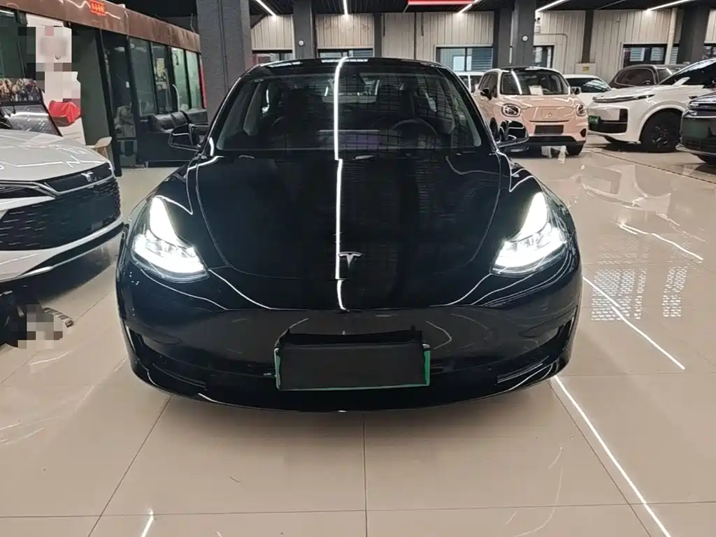Model 3 2022 rear-wheel drive купить на сайте DeffCars