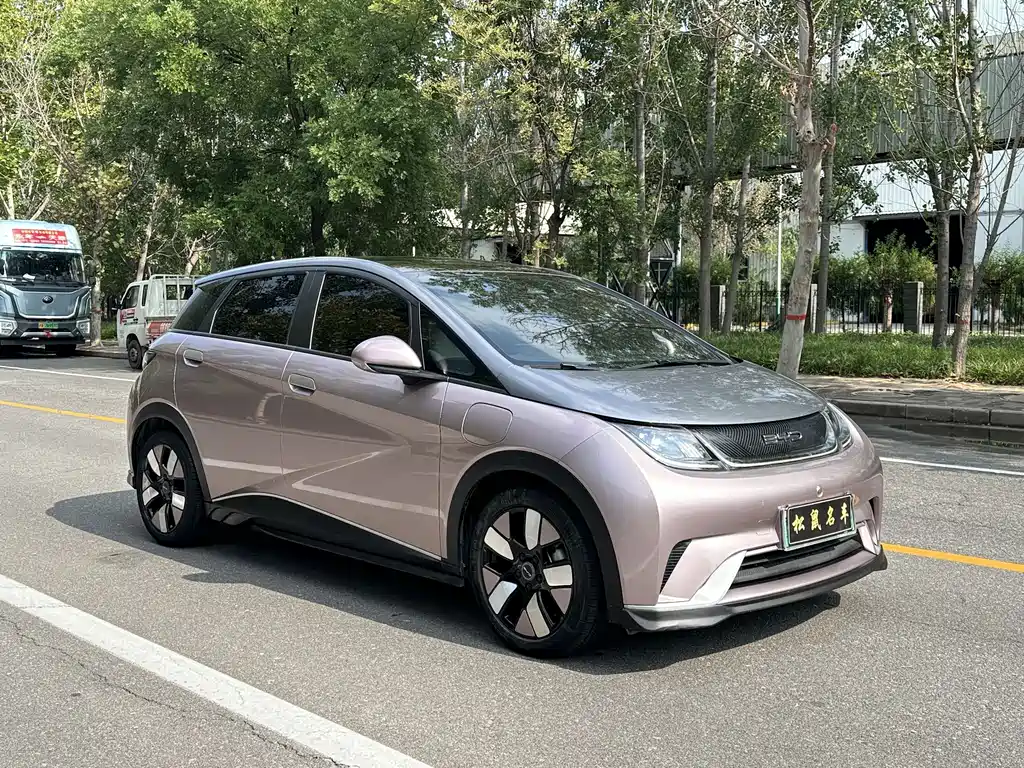 Dolphin 2021 401km Knight Edition купить на сайте DeffCars