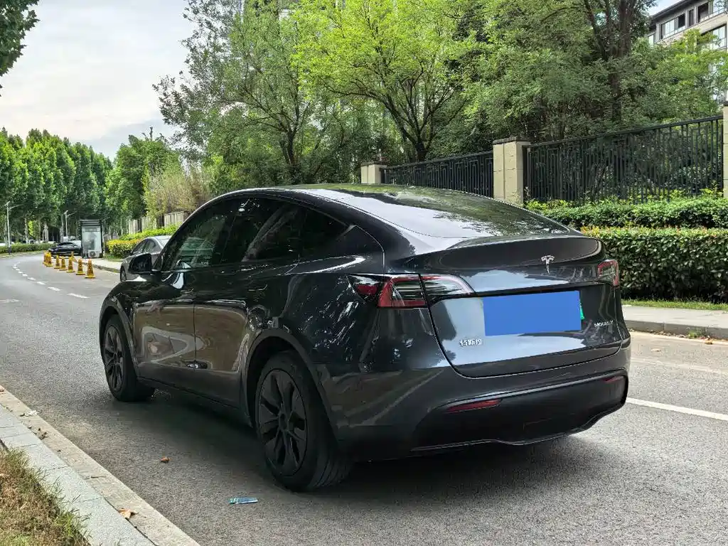 Model Y 2024 rear-wheel drive version купить на сайте DeffCars