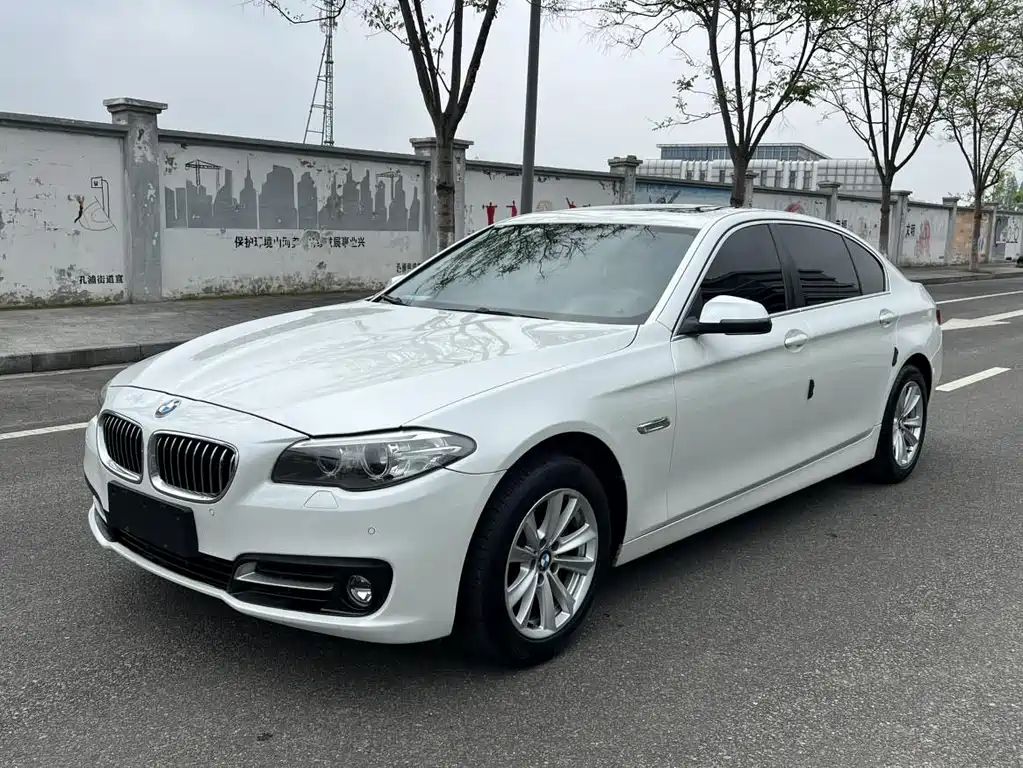 BMW 5 Series 2017 520Li Elegant купить на сайте DeffCars
