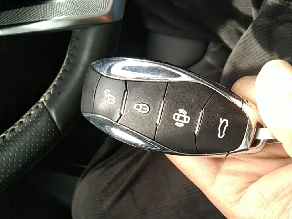 Hongqi HS5 2023 2.0T Qixiang Pro version купить на сайте DeffCars