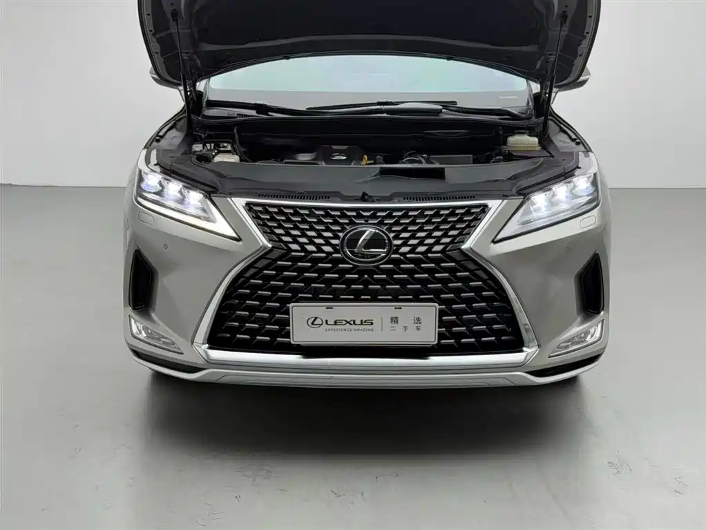 Lexus RX 2020 300 four-wheel drive elegant version National V купить на сайте DeffCars