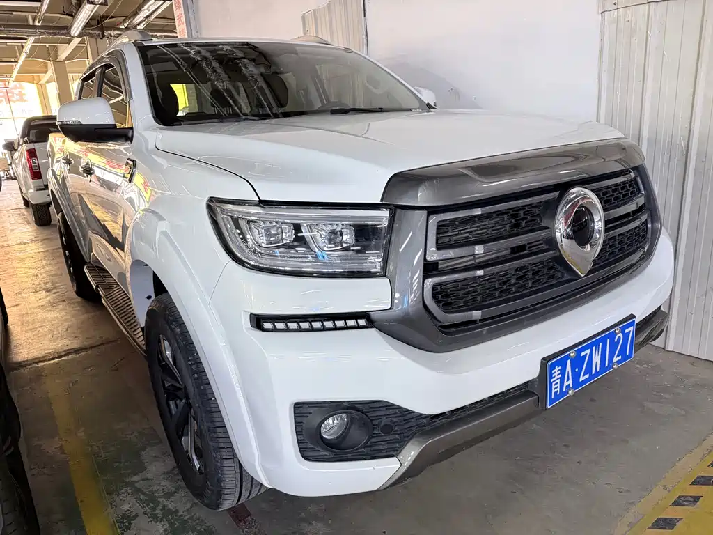 Cannon 2023 2.0T passenger version automatic gasoline four-wheel drive exclusive model GW4C20B купить на сайте DeffCars