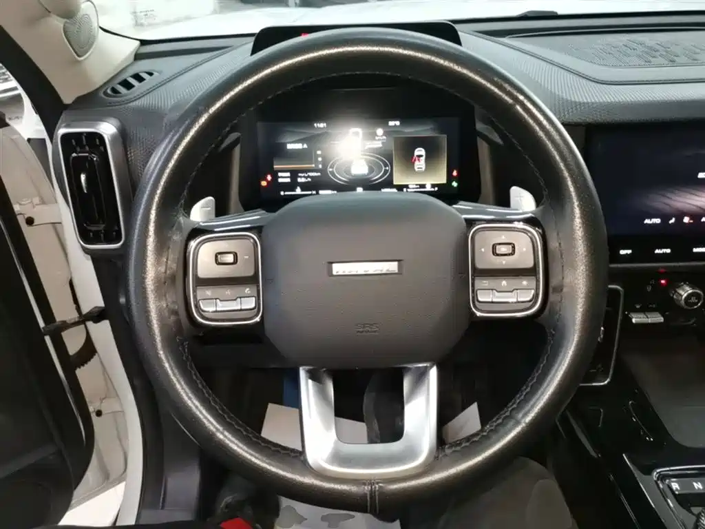 Haval Big Dog 2022 1.5T DCT two-wheel drive Border Collie version купить на сайте DeffCars