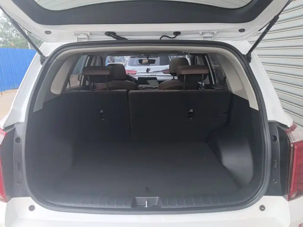 Zhipao 2021 Ace 2.0L Wonderful Edition купить на сайте DeffCars