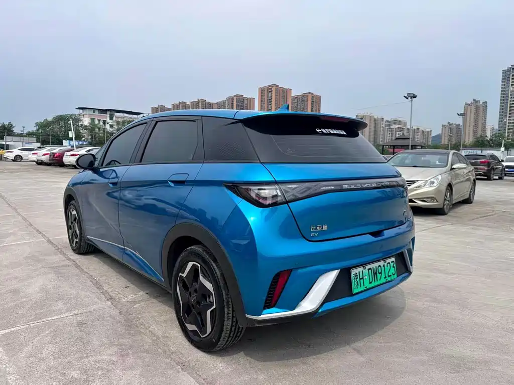 Dolphin 2021 405km Fashion Edition купить на сайте DeffCars