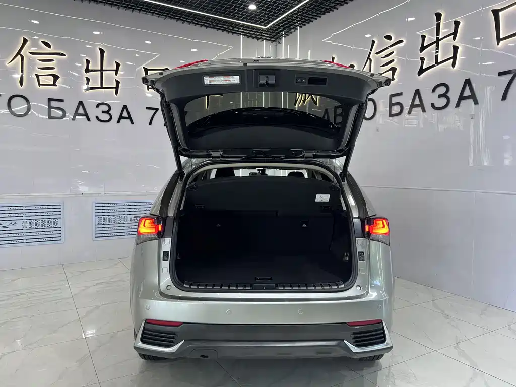 Lexus NX 2020 200 Pioneer Edition China VI купить на сайте DeffCars