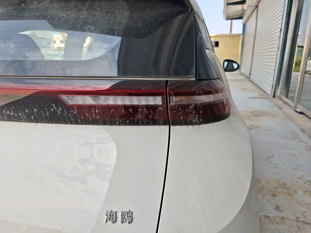 Seagull 2025 Smart Driving Edition 305km Vitality Edition купить на сайте DeffCars