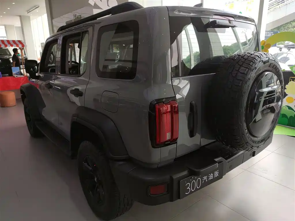 Tank 300 2021 Off-Road Version 2.0T Conqueror купить на сайте DeffCars
