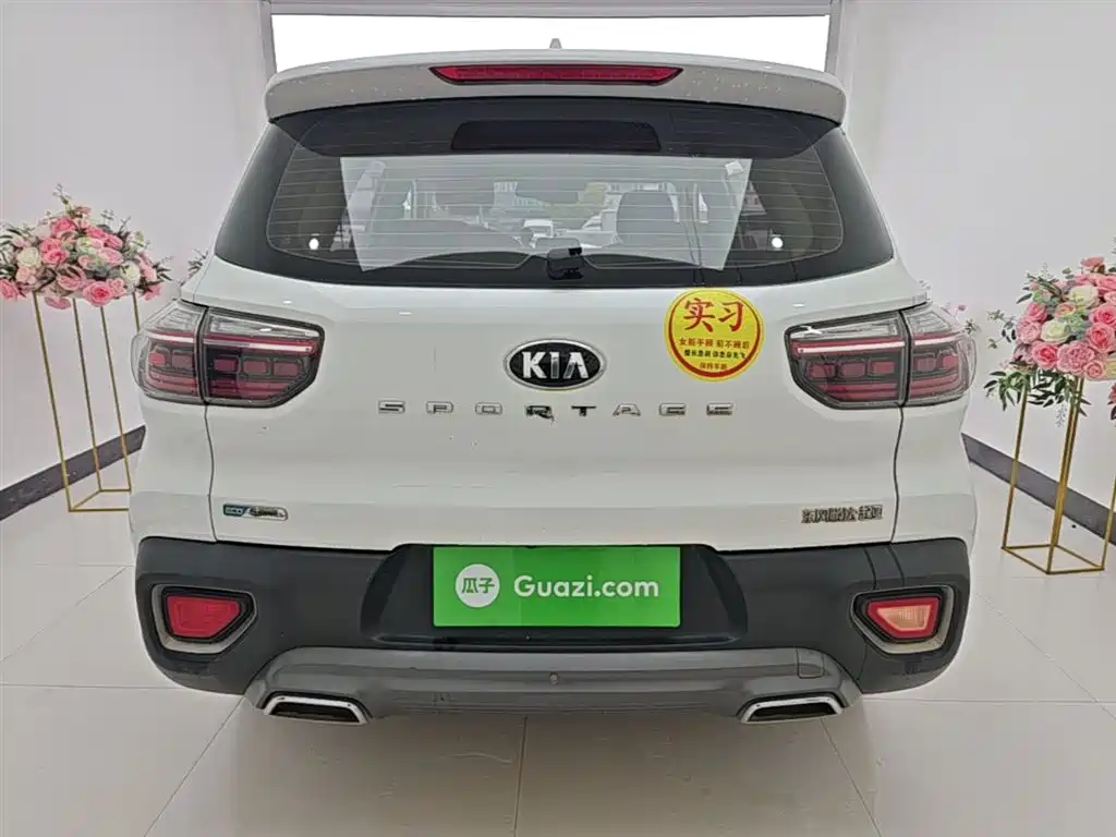 Zhipao 2019 2.0L Automatic Smart Enjoy Deluxe Edition купить на сайте DeffCars