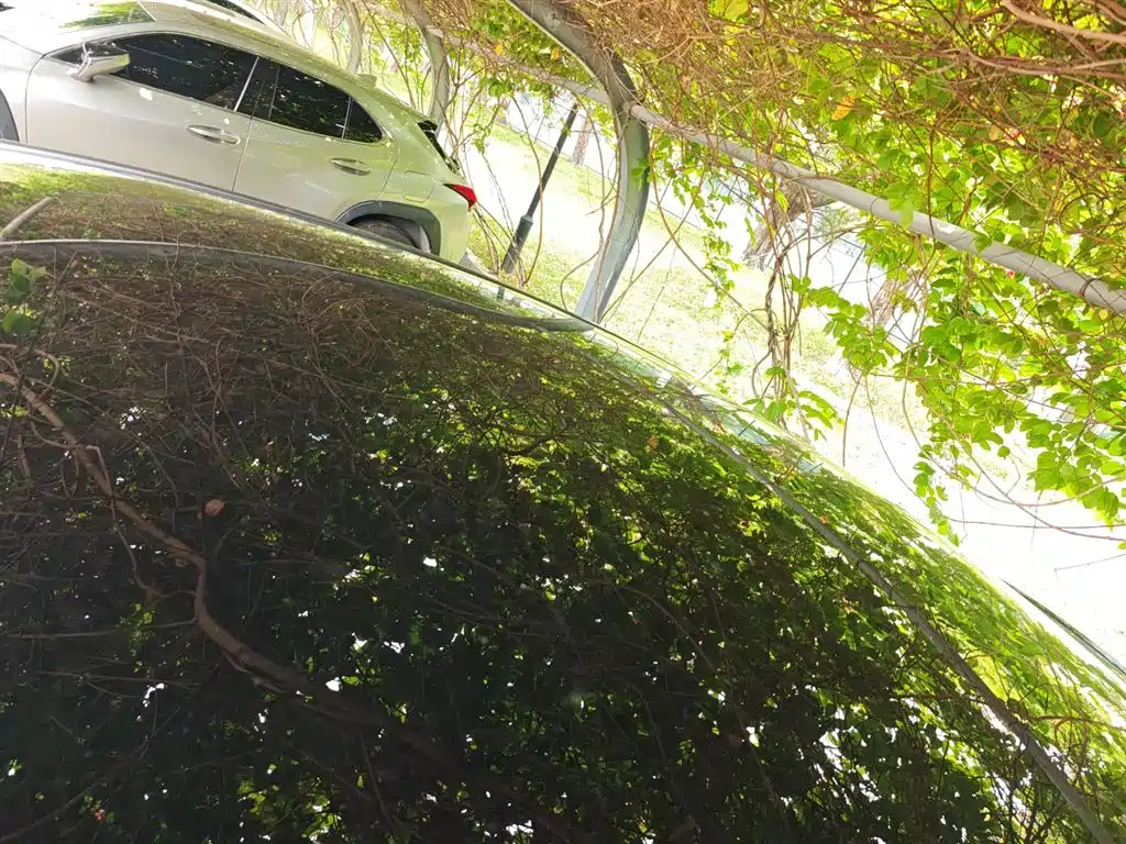 Model Y 2024 long-range all-wheel drive version купить на сайте DeffCars