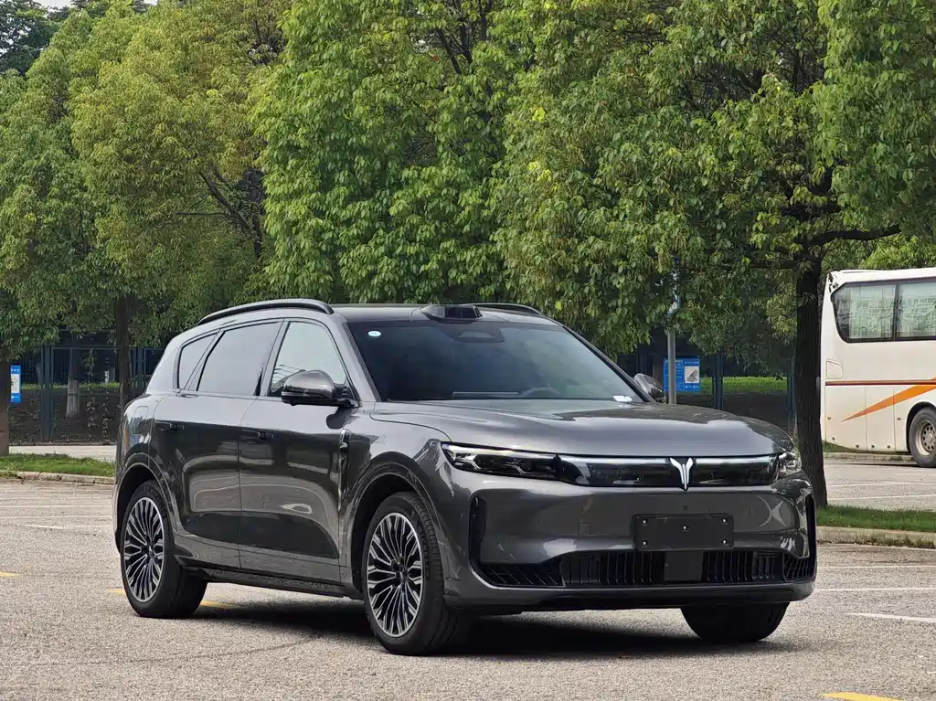Free 2025 + Rear Drive Dryer Edition купить на сайте DeffCars