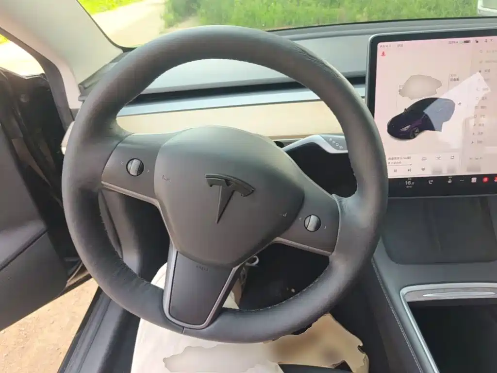 Model 3 2021 Standard Range Rear Drive Upgrade купить на сайте DeffCars