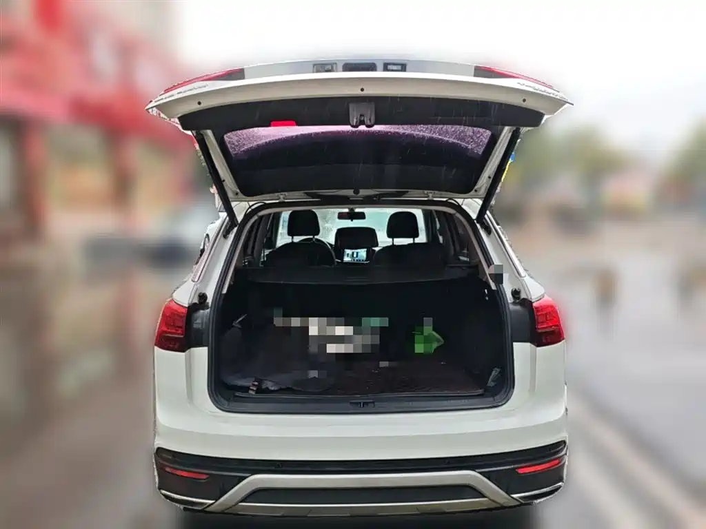 Tanyue 2019 330TSI two-wheel drive luxury model, National VI купить на сайте DeffCars