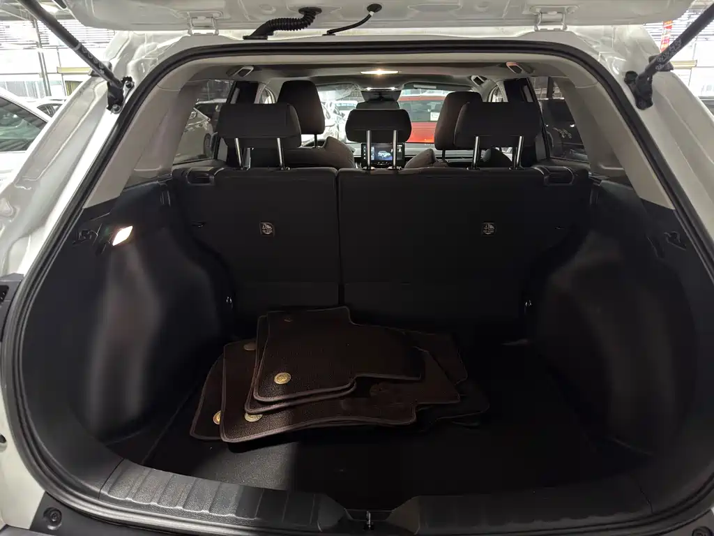Fenglanda 2023 2.0L CVT leading version купить на сайте DeffCars