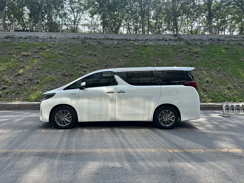 Alfa 2021 Dual Engine 2.5L Deluxe Edition купить на сайте DeffCars