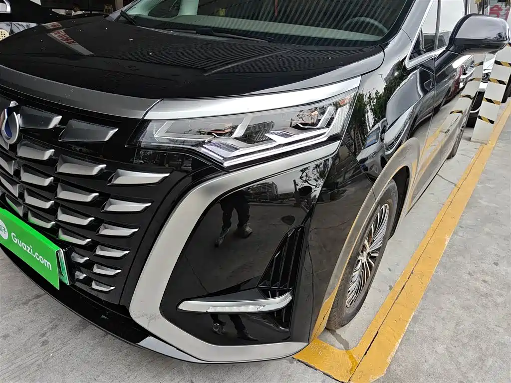 Denza D9 2022 DM-i 1040 Premium Type купить на сайте DeffCars