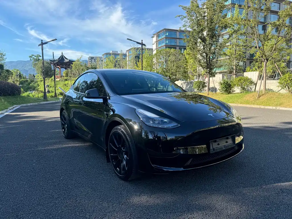 Model Y 2022 rear-wheel drive version купить на сайте DeffCars