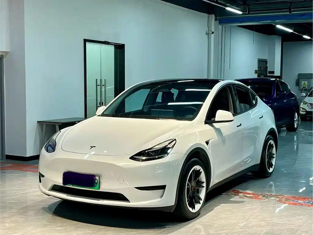 Model Y 2024 rear-wheel drive version купить на сайте DeffCars