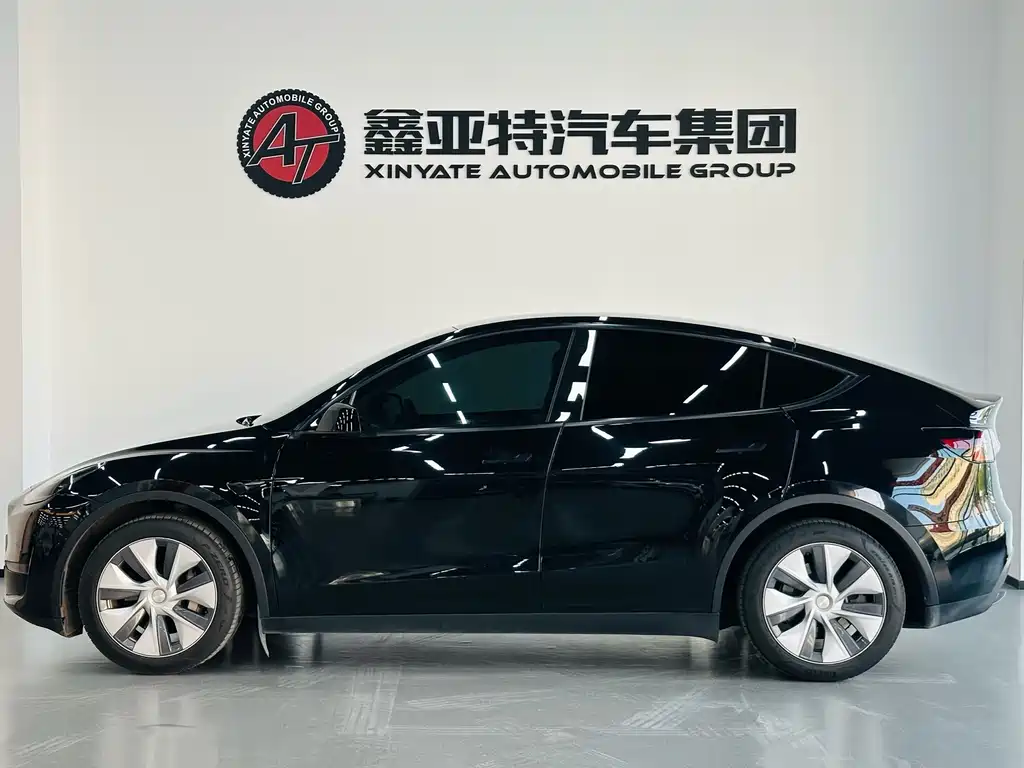 Model Y 2021 standard range rear-wheel drive version купить на сайте DeffCars
