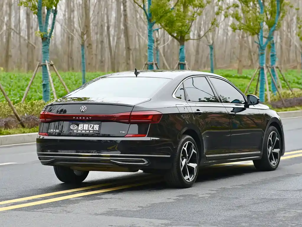 Passat 2023 330TSI Starry Sky Elite Edition купить на сайте DeffCars