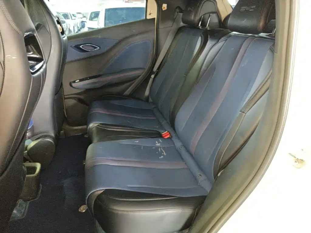 Seagull 2024 Honor Edition 305km Vitality купить на сайте DeffCars