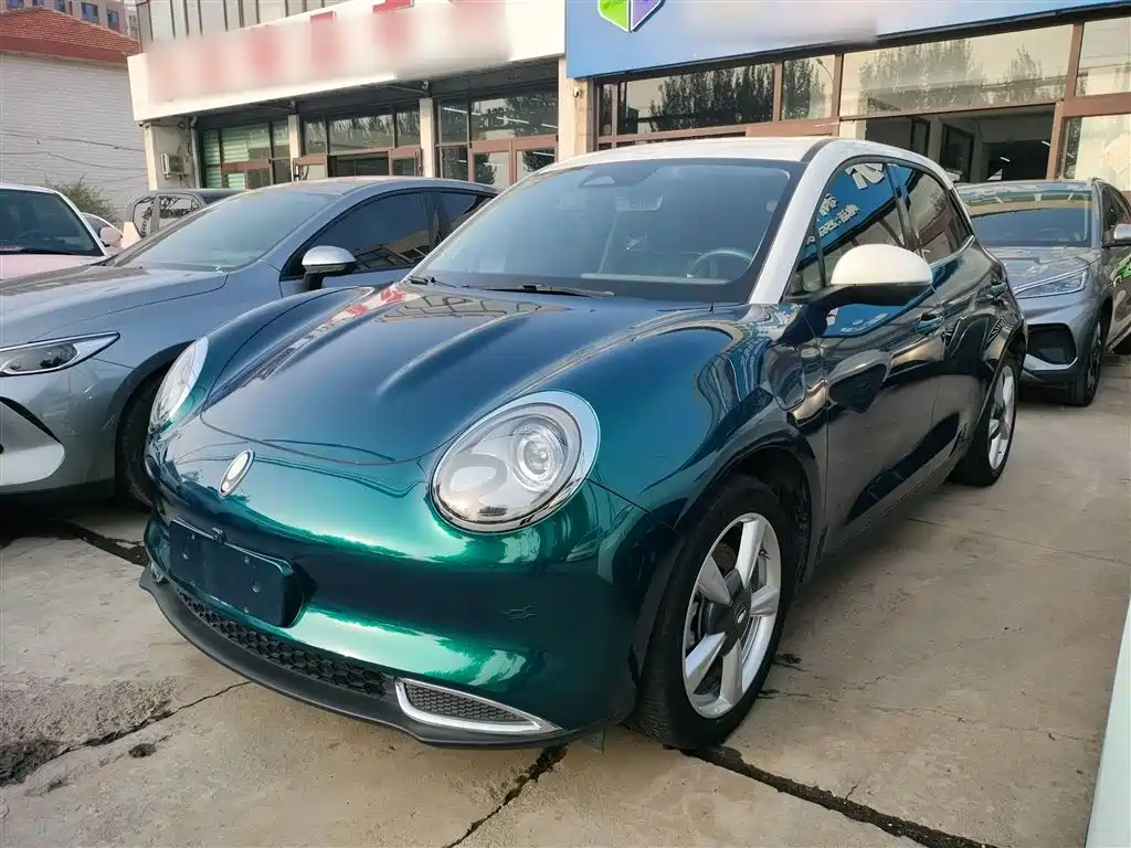 Euler Good Cat 2021 model 400km standard battery life Venus version ternary lithium купить на сайте DeffCars