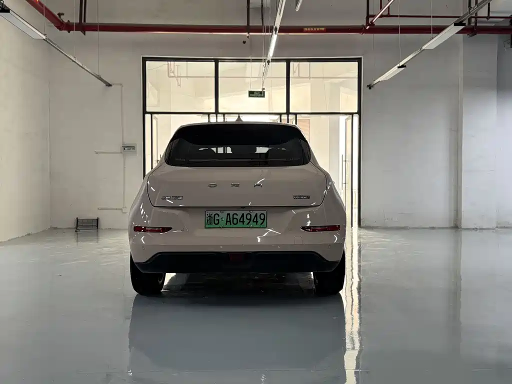 Euler Good Cat 2021 model 400km standard battery life Venus version ternary lithium купить на сайте DeffCars