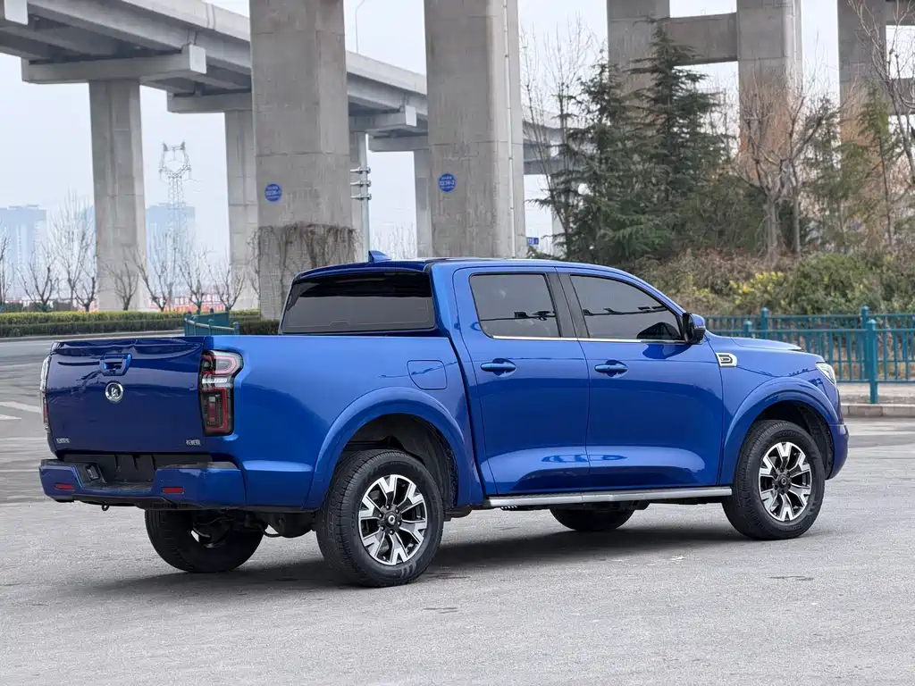 Cannon 2021 2.0T Passenger Global Version Automatic Diesel Two-wheel Drive Comfort Standard Box GW4D20M купить на сайте DeffCars