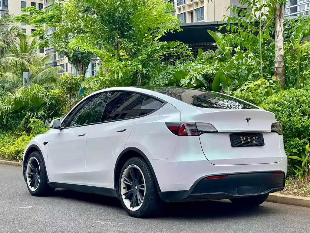 Model Y 2021 standard range rear-wheel drive version купить на сайте DeffCars