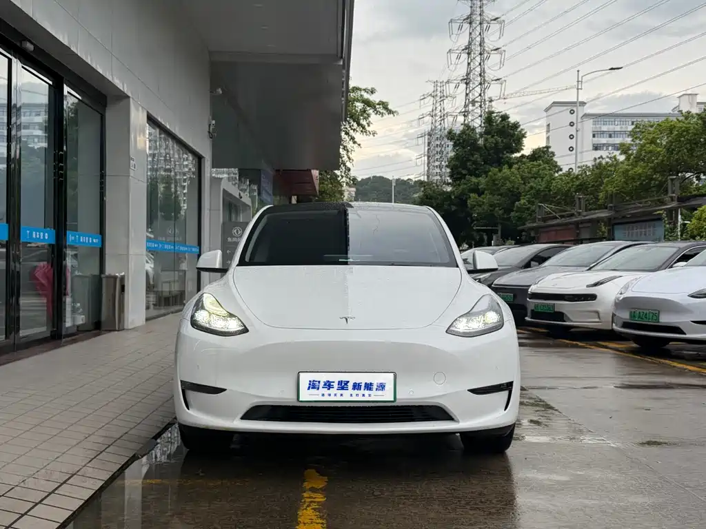 Model Y 2023 long-range all-wheel drive version купить на сайте DeffCars