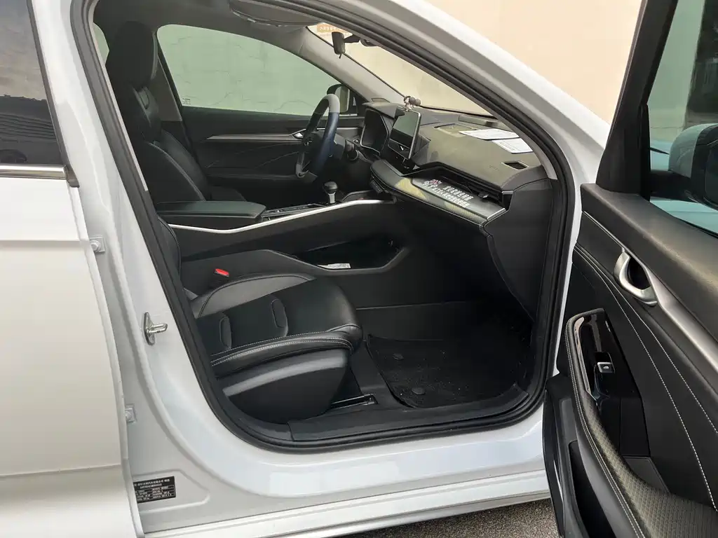 Xingrui 2021 2.0TD luxury + model купить на сайте DeffCars