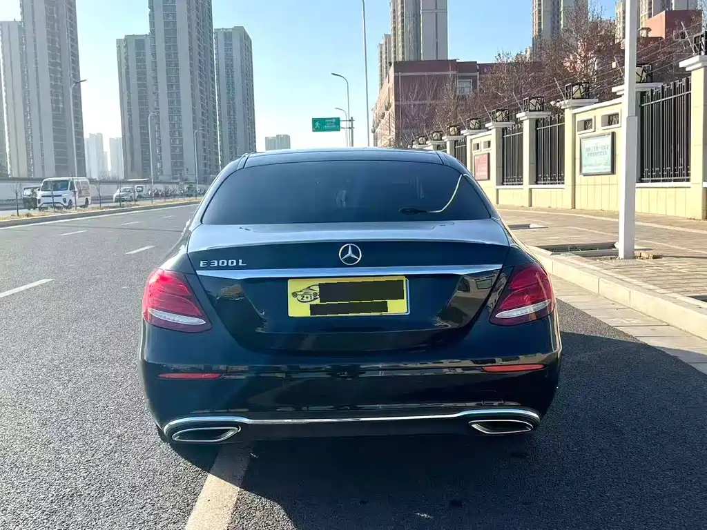 Mercedes-Benz E-Class 2020 E 300 L Luxury Model купить на сайте DeffCars