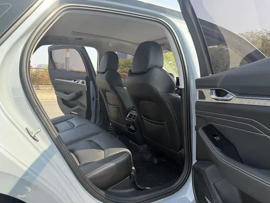 Xingrui 2023 2.0TD luxury model купить на сайте DeffCars