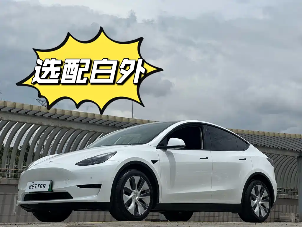 Model Y 2022 rear-wheel drive version купить на сайте DeffCars