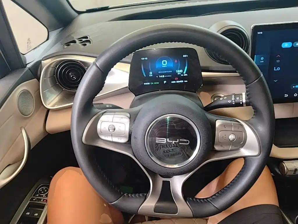 Dolphin 2021 405km Fashion Edition купить на сайте DeffCars