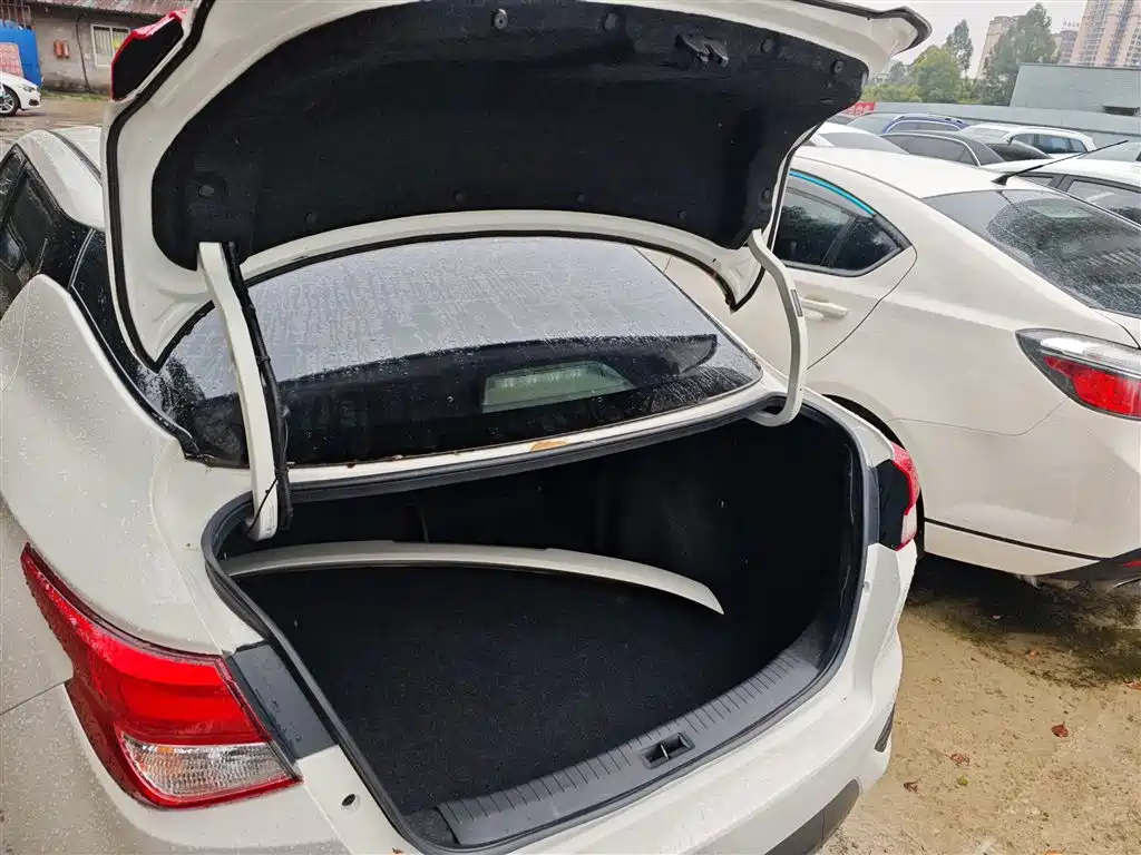 Bluebird 2019 1.6L manual cool version National VI купить на сайте DeffCars